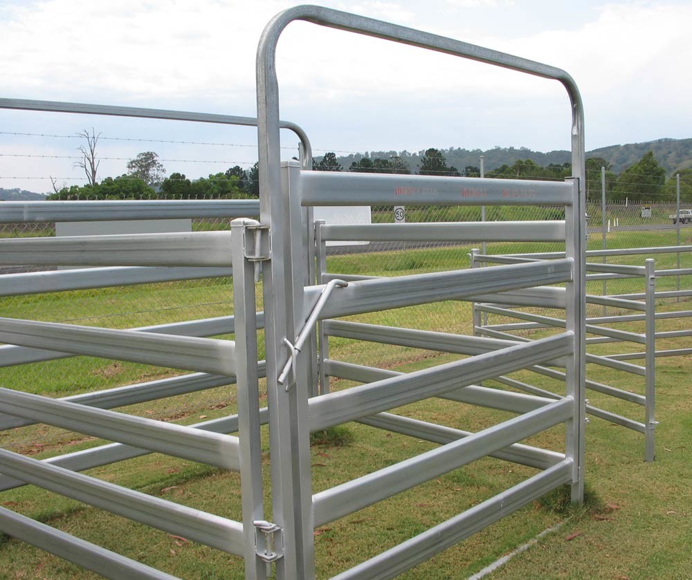 cattle panels3
