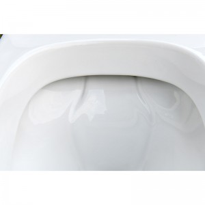 Vacuum Toilet  – Porcelain