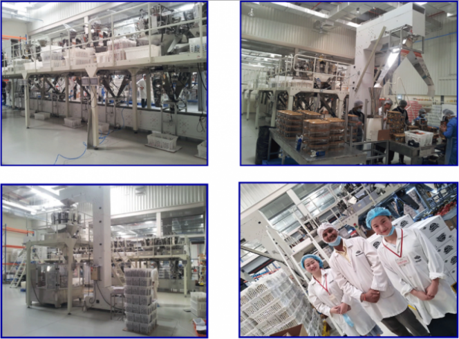 2013 Dubai Mix Packing System With Rotary Packing Machine Project