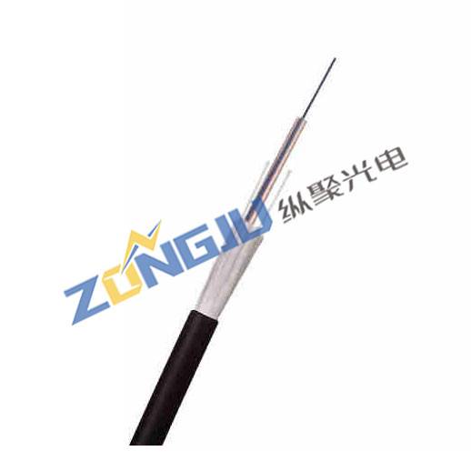 Manufactur standard Fiber Optic Cable Distribution Box - GYFXTY-FG Outdoor Uni-Tube All Dielectric Aerial Drop Cable –  Zongju