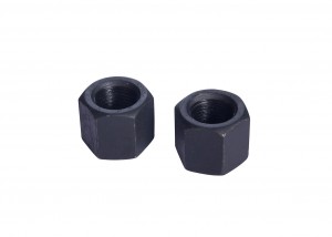 Chinese Professional Galvanized Nuts - Hex High Nuts  – Zonolezer