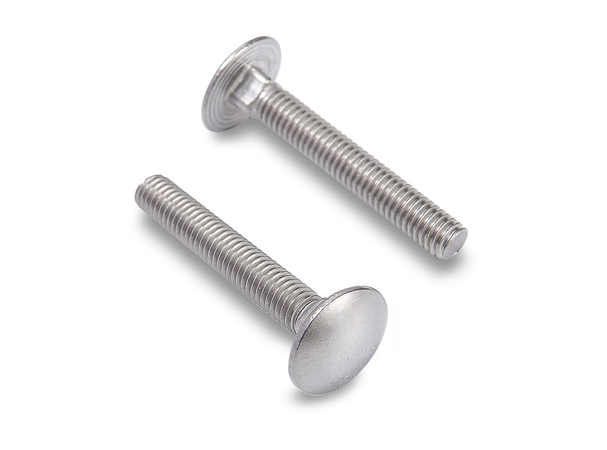 China OEM Plastic Snap Fasteners - Carriage Bolt  – Zonolezer
