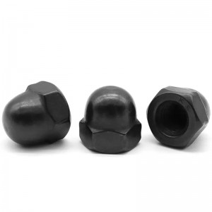 304 Stainless Steel Black Hex Domed Cap Nut