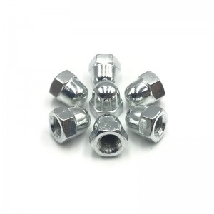 Papa 4.8 Zinc Plated Carbon Steel Hex Domed Cap Nut