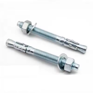 Wholesale China Manufacture High Quality Wedge Anchor Expansion Anchor Bolt Stainless Steel