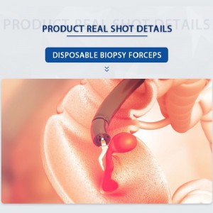 Disposable Endoscopy Colonoscopy Rotating Biopsy Forceps