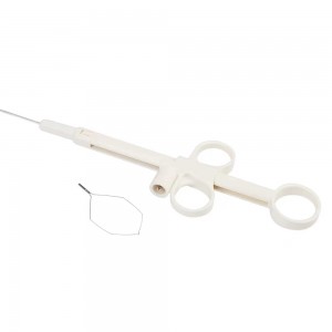 Factory wholesale Endoscopic Hemostat - EMR EDS Instrument Polypectomy Cold Snare for Single Use  – ZhuoRuiHua