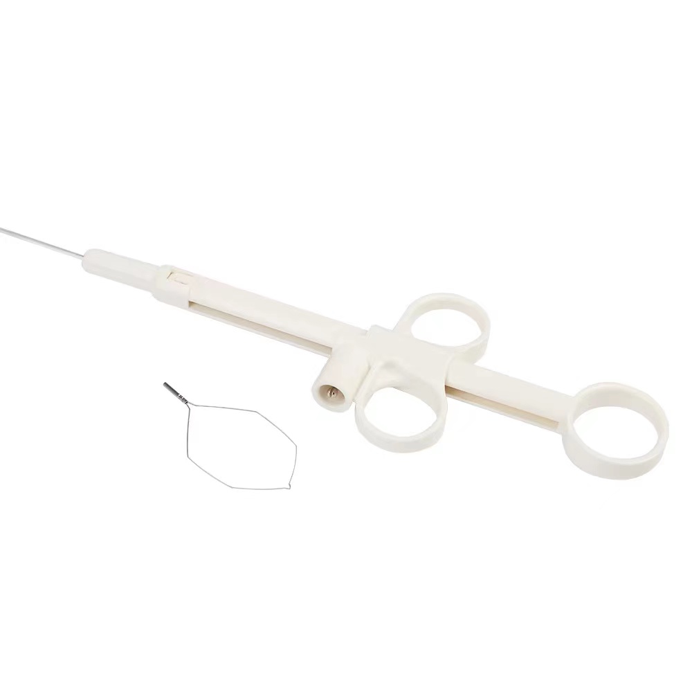 EMR EDS Instrument Polypectomy Cold Snare for Single Use Featured Image