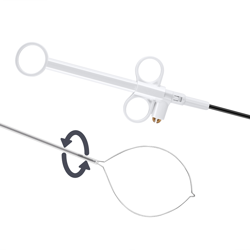 Low price for Endoscopic Clip - Disposable Endoscopic Resection Polypectomy Snare for Gastroenterology  – ZhuoRuiHua