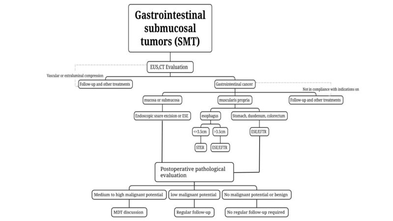 Endoscopic treatment of submucosal tumors of the digestive tract: 3 major points summarized in one article