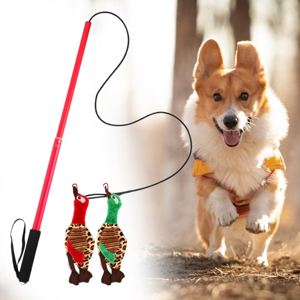 Outdoor pet Exercise & Training Interactive lure toys for dogs