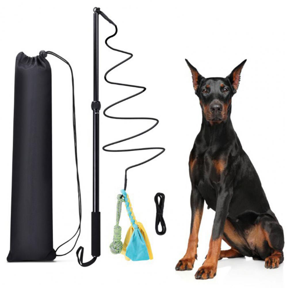Top Selling long telescopic Flirt Pole For Dogs Retractable Interactive Training
