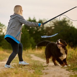 China Wholesale Good quality pet toy extendable flirt pole for dogs