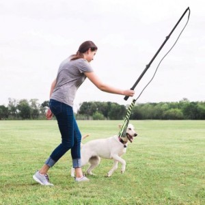 Aluminum Telescopic Rods Flirt Extension Pole for Dogs with Flip Lock