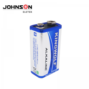 6LR61 9V Alkaline Battery, Disposable Battery for Smoke Alarms, Guitar Pickups, Microphones and More