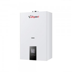 Reasonable price Popular in Russian Republic Wall Hung Gas Boiler for Central Heating Home and Hot Water