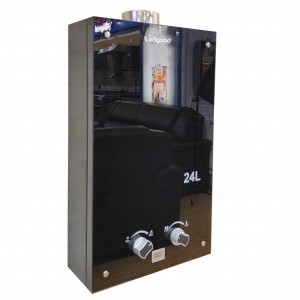 Wholesale Custom or Standard Solenoid Valve Calentador De Agua Instant Gas Water Heater
