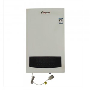 China Cheap price Bithermic Type and Plate Heat Exchanger Type High Quality 20kw Wall Hung Combi Gas Boiler