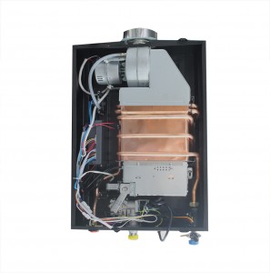 Factory Supply Competitive Price Energy Saving High Efficiency Tankless Instant Gas Hot Water Heater
