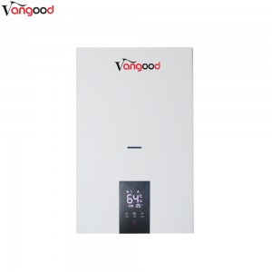 Reasonable price Popular in Russian Republic Wall Hung Gas Boiler for Central Heating Home and Hot Water