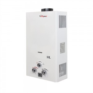 Efficient 10L Flue Gas Water Heater Instant Hot Water for Bathroom and Kitchen