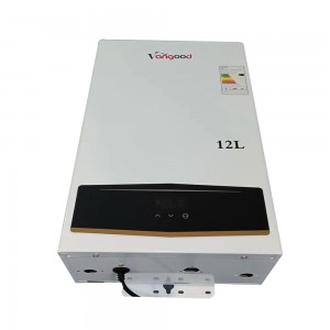 wholesale price 12L Touch Screen Control Gas Water Heaters