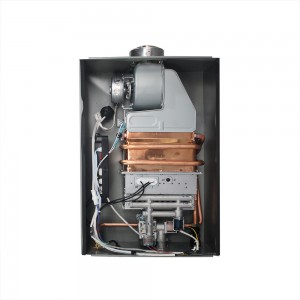 Balanced Exhaust Gas Water Heater With Double Pipe