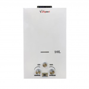 2023 New Style Production 6L to 20L Flue Type Instant Gas Water Heater, Gas Geyser