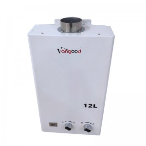 Wholesale Price Central Gas Instant Water Heater With Pressure Pump