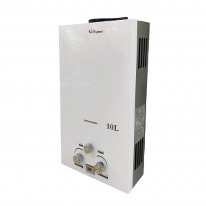 2023 New Style Production 6L to 20L Flue Type Instant Gas Water Heater, Gas Geyser