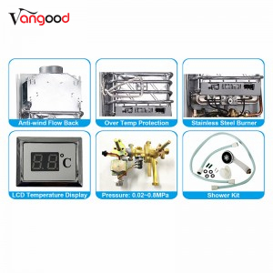 Chinese Professional China Factory OEM Wholesale Flue Type Hot Sale Home Appliance 6L 10L 12L 16L 20L Tankless Instant LPG Natural Gas Hot Water Heater for Shower CE Approval