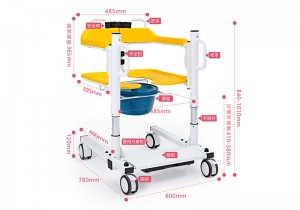 ZW387D-1 Electric Remote Controlled Lift Transfer Chair