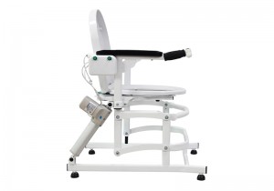 Zuowei266 Electric Lift Tolit Chair
