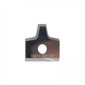 2-wing Cutter Head Carbide Profile Insert Knives