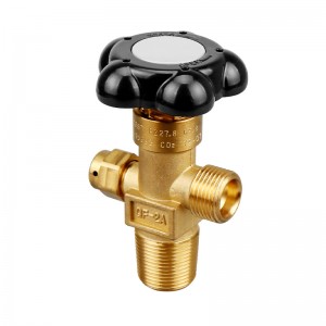 Hot-selling Gas Cylinder Valve - QF-2A Valve for CO2 Gas Cylinder – ZhengXin