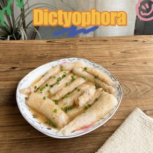 Dictyophora indusiata  Fisch shrimp paste