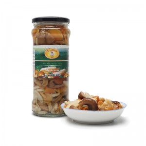 Quality Inspection for China Hot Sale 2022 Fresh Crop Canned Mushroom Whole 800g