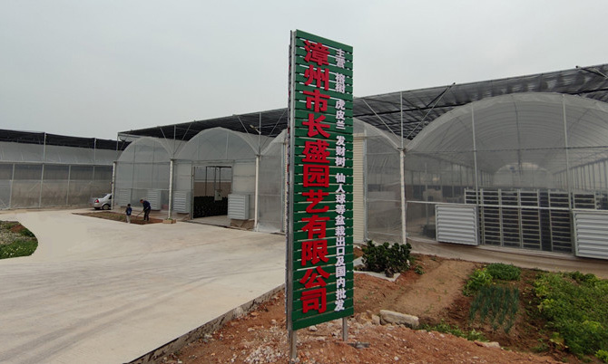 We have our own plant nurseries and a professional team to create high-quality products and high-efficient delivery.