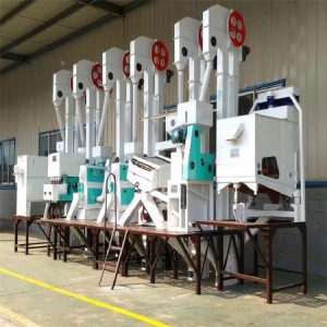 Modern Automatic Mini Rice Milling Plant 10 Ton Per Day Complete Rice Mill Production Line