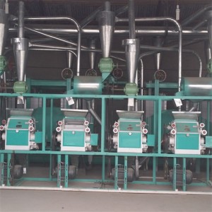 Modern Automatic Mini Rice Milling Plant 10 Ton Per Day Complete Rice Mill Production Line